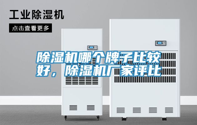 除濕機哪個(gè)牌子比較好，除濕機廠(chǎng)家評比