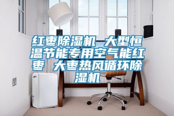 紅棗除濕機 大型恒溫節能專(zhuān)用空氣能紅棗 大棗熱風(fēng)循環(huán)除濕機