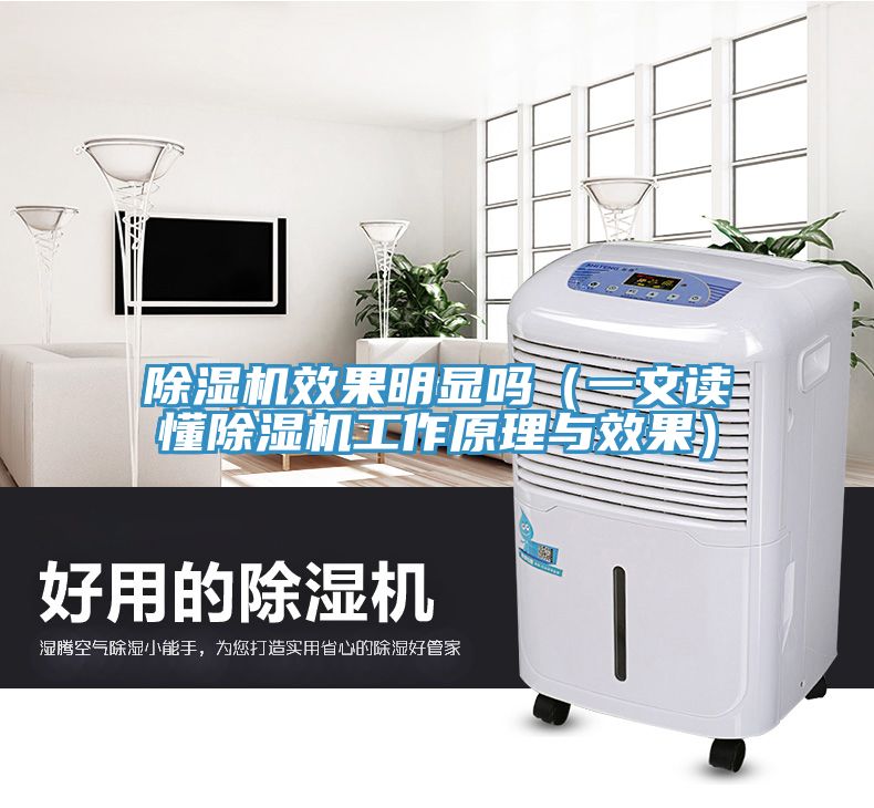 除濕機效果明顯嗎（一文讀懂除濕機工作原理與效果）