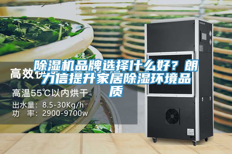 除濕機品牌選擇什么好？朗力信提升家居除濕環(huán)境品質(zhì)
