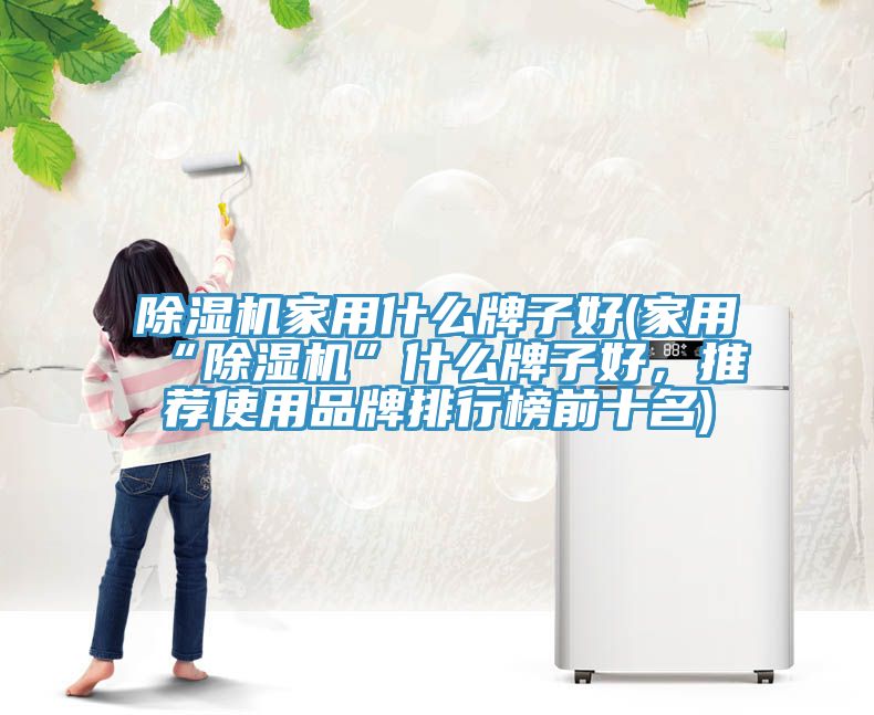 除濕機家用什么牌子好(家用“除濕機”什么牌子好，推薦使用品牌排行榜前十名)