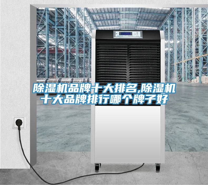 除濕機品牌十大排名,除濕機十大品牌排行哪個(gè)牌子好
