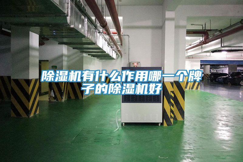 除濕機有什么作用哪一個(gè)牌子的除濕機好