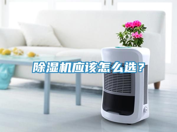 除濕機應該怎么選？