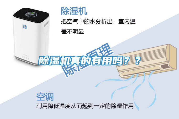 除濕機真的有用嗎？？