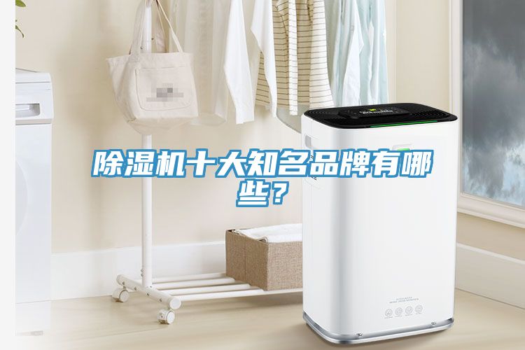 除濕機十大知名品牌有哪些？
