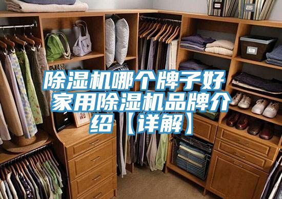 除濕機哪個(gè)牌子好 家用除濕機品牌介紹【詳解】