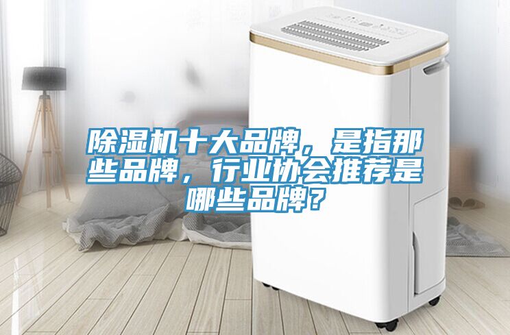 除濕機十大品牌，是指那些品牌，行業(yè)協(xié)會(huì )推薦是哪些品牌？