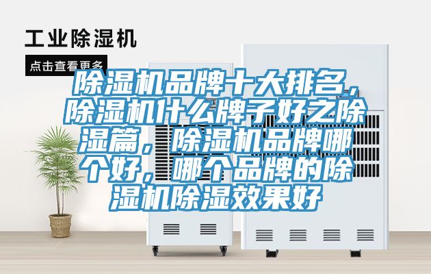 除濕機品牌十大排名，除濕機什么牌子好之除濕篇，除濕機品牌哪個(gè)好，哪個(gè)品牌的除濕機除濕效果好