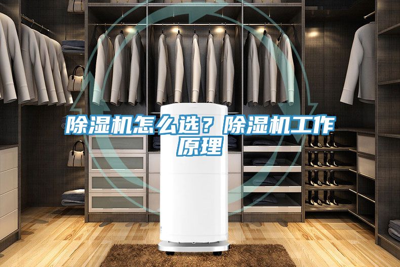 除濕機怎么選？除濕機工作原理