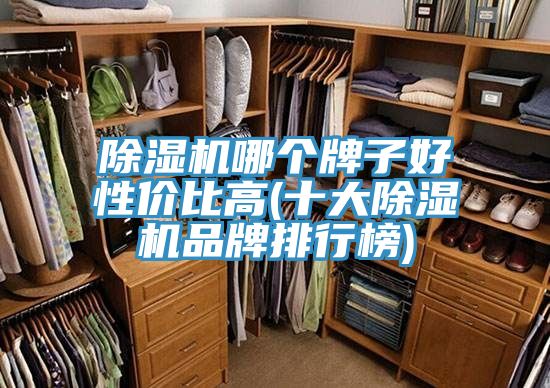 除濕機哪個(gè)牌子好性?xún)r(jià)比高(十大除濕機品牌排行榜)