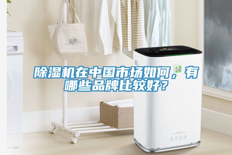 除濕機在中國市場(chǎng)如何，有哪些品牌比較好？