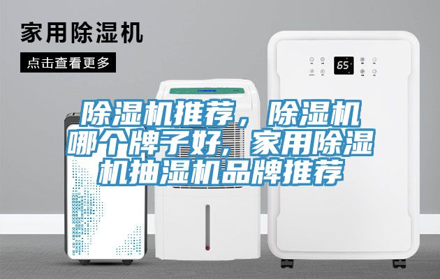 除濕機推薦，除濕機哪個(gè)牌子好, 家用除濕機抽濕機品牌推薦