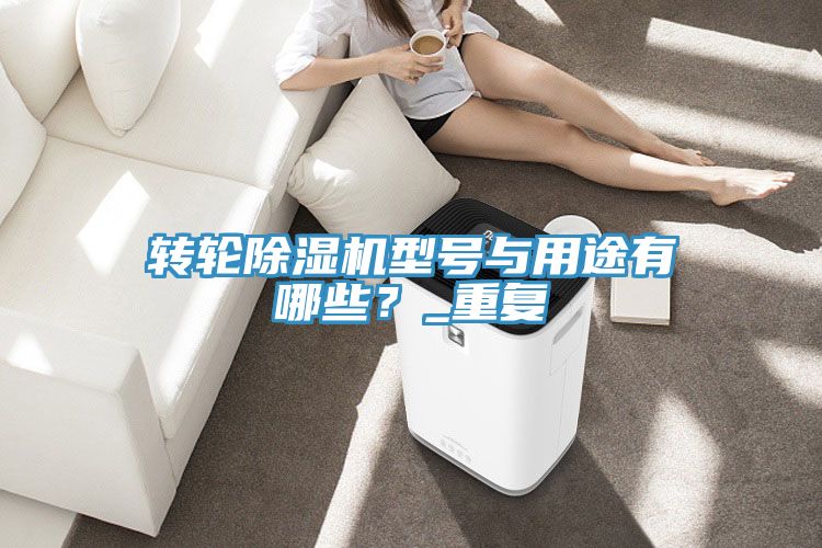 轉輪除濕機型號與用途有哪些？_重復