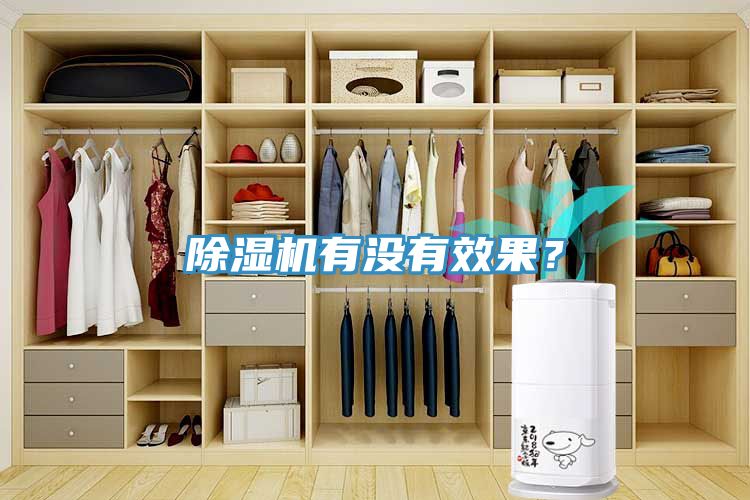 除濕機有沒(méi)有效果？