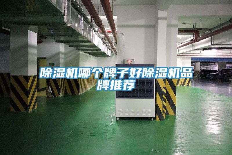 除濕機哪個(gè)牌子好除濕機品牌推薦