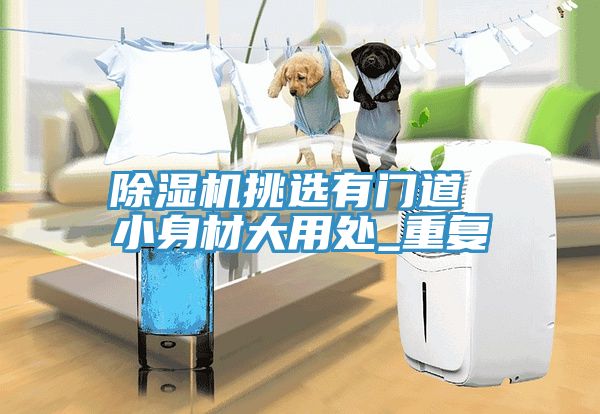 除濕機挑選有門(mén)道 小身材大用處_重復