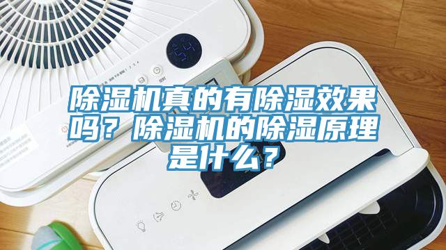 除濕機真的有除濕效果嗎？除濕機的除濕原理是什么？