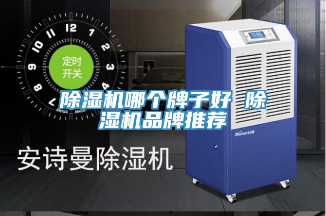 除濕機哪個(gè)牌子好 除濕機品牌推薦