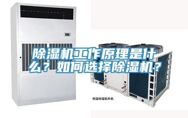 除濕機工作原理是什么？如何選擇除濕機？