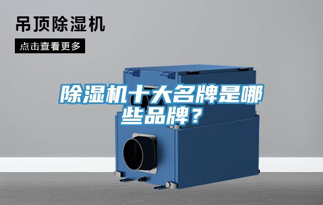 除濕機十大名牌是哪些品牌？