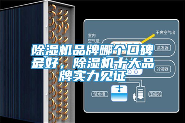除濕機品牌哪個(gè)口碑最好，除濕機十大品牌實(shí)力見(jiàn)證