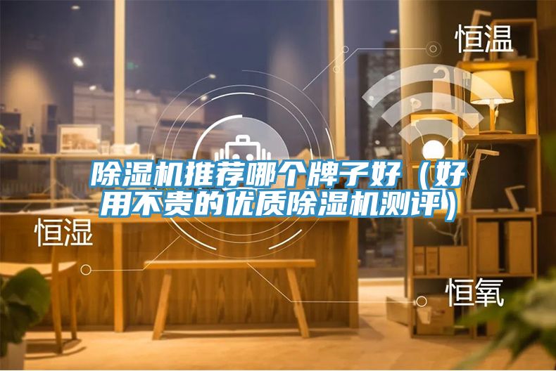 除濕機推薦哪個(gè)牌子好（好用不貴的優(yōu)質(zhì)除濕機測評）