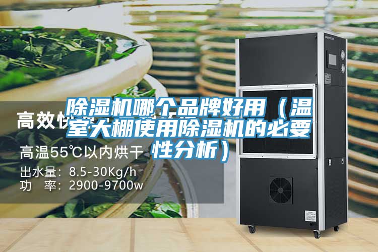 除濕機哪個(gè)品牌好用（溫室大棚使用除濕機的必要性分析）
