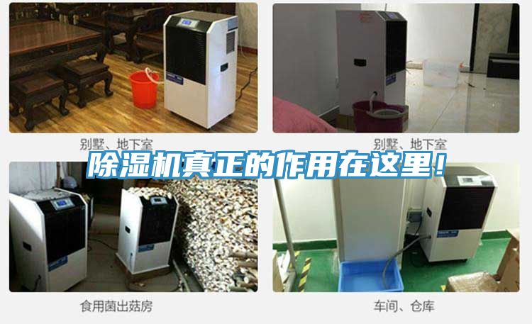 除濕機真正的作用在這里！