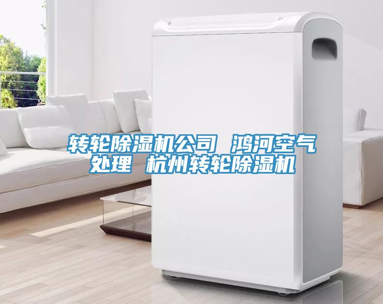 轉輪除濕機公司 鴻河空氣處理 杭州轉輪除濕機