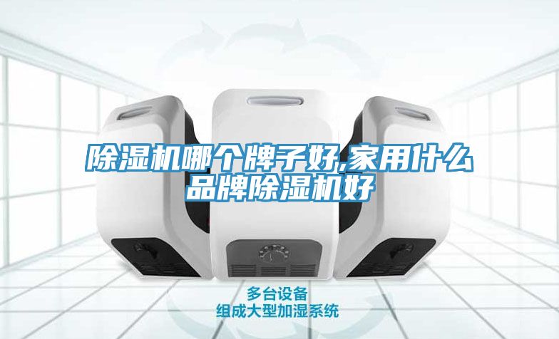 除濕機哪個(gè)牌子好,家用什么品牌除濕機好
