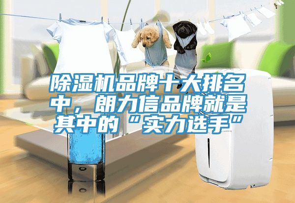 除濕機品牌十大排名中，朗力信品牌就是其中的“實(shí)力選手”