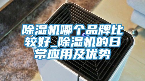 除濕機哪個(gè)品牌比較好_除濕機的日常應用及優(yōu)勢