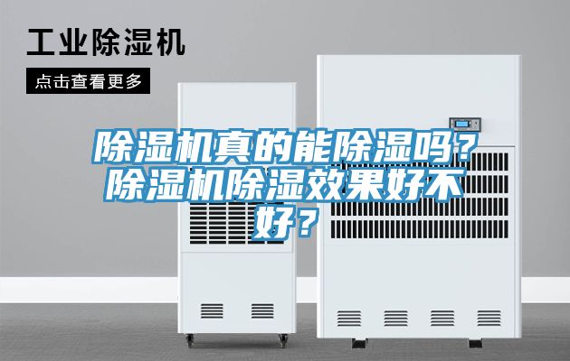 除濕機真的能除濕嗎？除濕機除濕效果好不好？