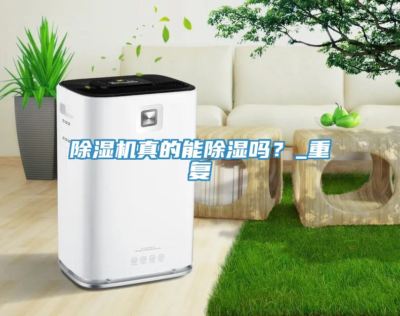 除濕機真的能除濕嗎？_重復