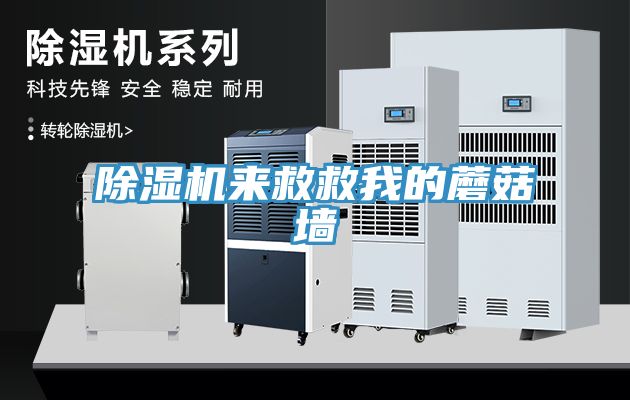 除濕機來(lái)救救我的蘑菇墻