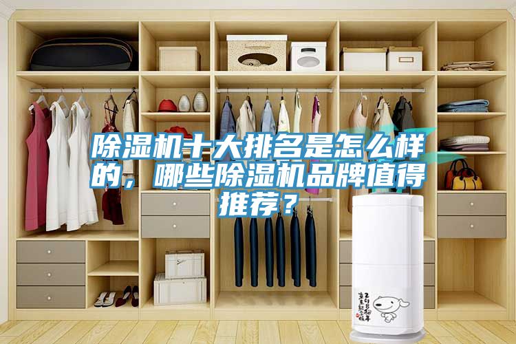 除濕機十大排名是怎么樣的，哪些除濕機品牌值得推薦？