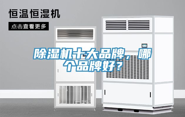 除濕機十大品牌，哪個(gè)品牌好？