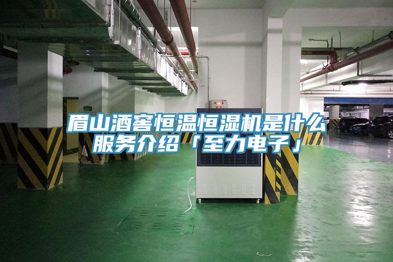 眉山酒窖恒溫恒濕機是什么服務(wù)介紹「至力電子」