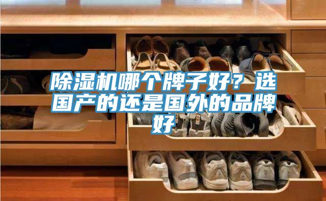 除濕機哪個(gè)牌子好？選國產(chǎn)的還是國外的品牌好