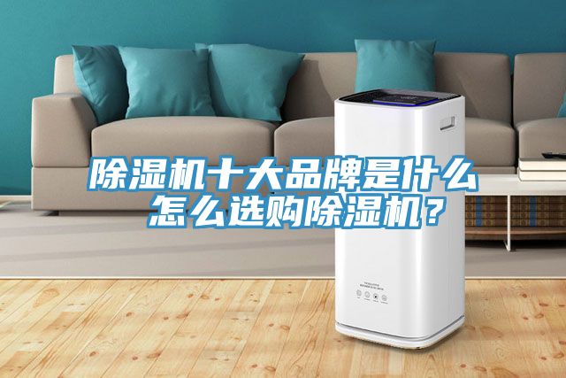 除濕機十大品牌是什么 怎么選購除濕機？