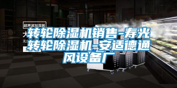 轉輪除濕機銷(xiāo)售-壽光轉輪除濕機-安適德通風(fēng)設備廠(chǎng)