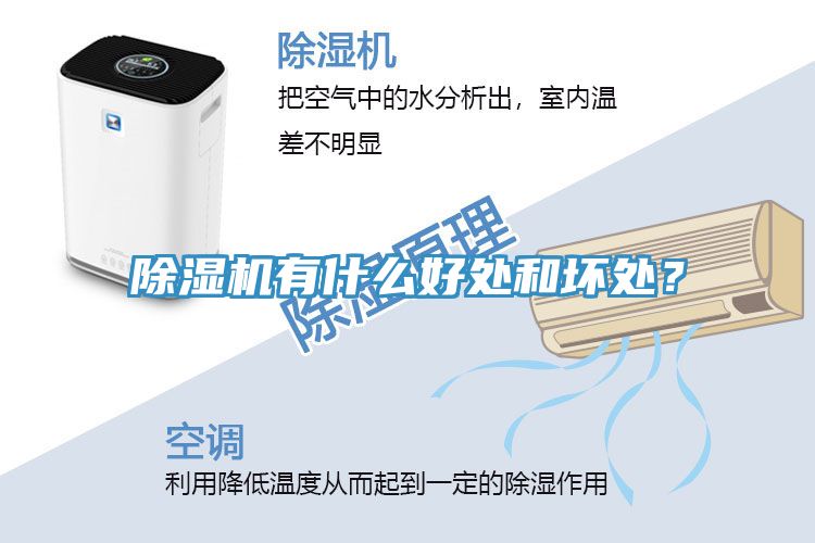 除濕機有什么好處和壞處？