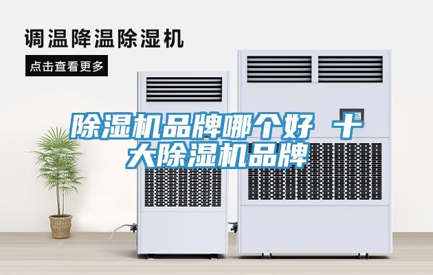 除濕機品牌哪個(gè)好 十大除濕機品牌