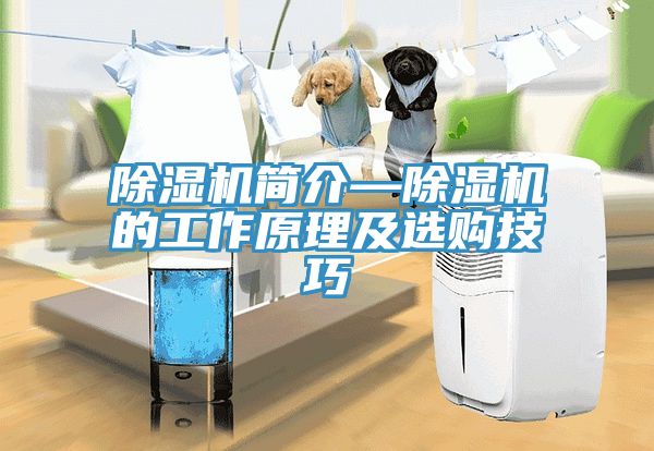 除濕機簡(jiǎn)介—除濕機的工作原理及選購技巧