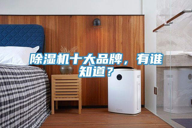 除濕機十大品牌，有誰(shuí)知道？