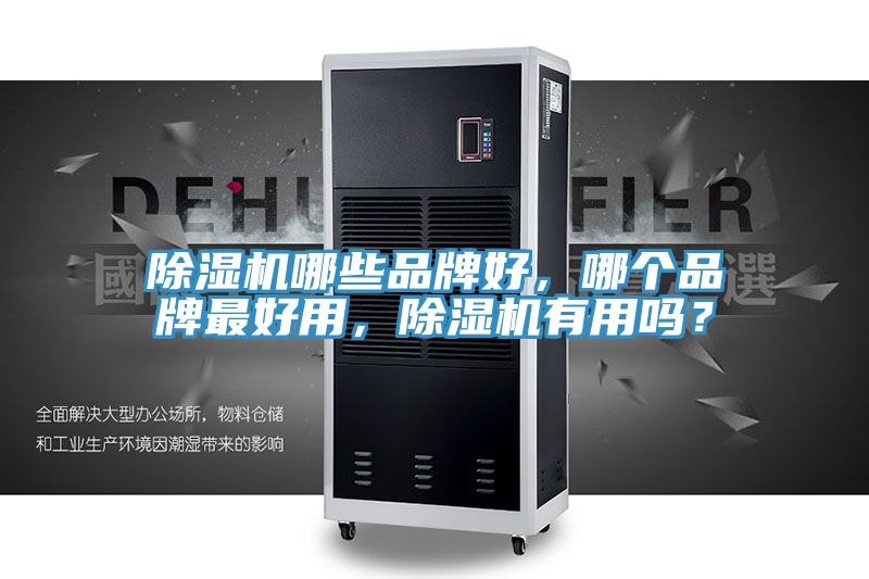 除濕機哪些品牌好，哪個(gè)品牌最好用，除濕機有用嗎？