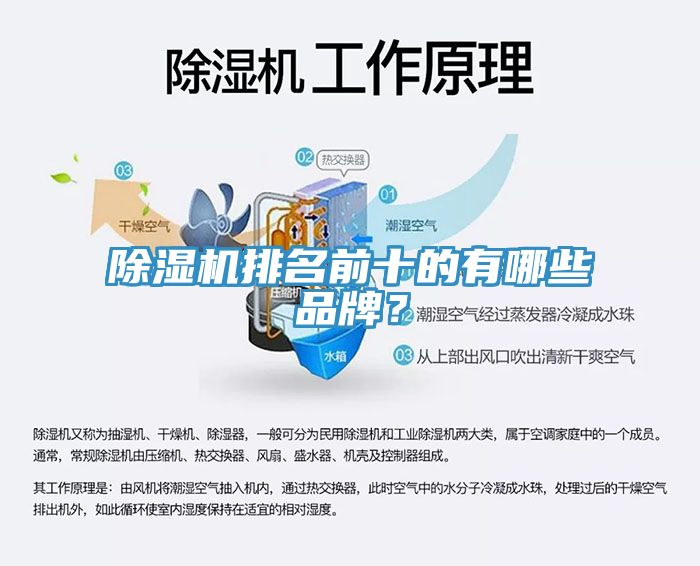 除濕機排名前十的有哪些品牌？