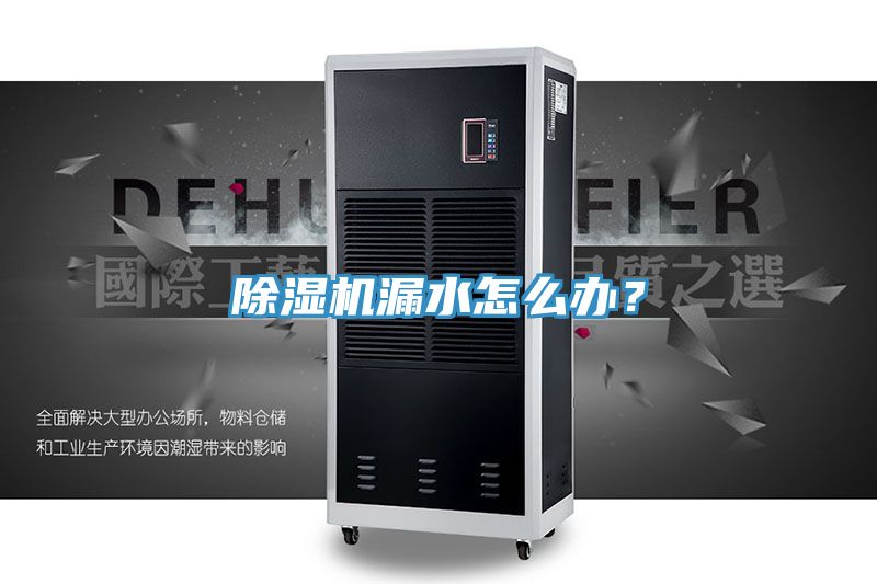除濕機漏水怎么辦？