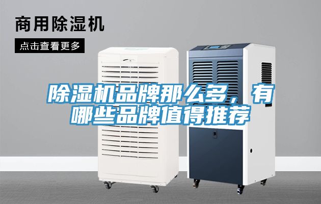 除濕機品牌那么多，有哪些品牌值得推薦